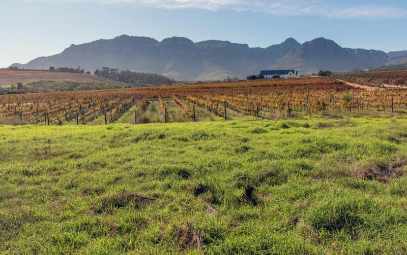 6 Bedroom Property for Sale in Stellenbosch Central Western Cape